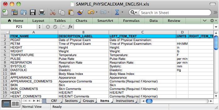 Defined CRF when opened in Excel, showing the Items tab